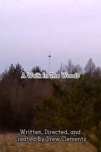 A Walk In The Woods