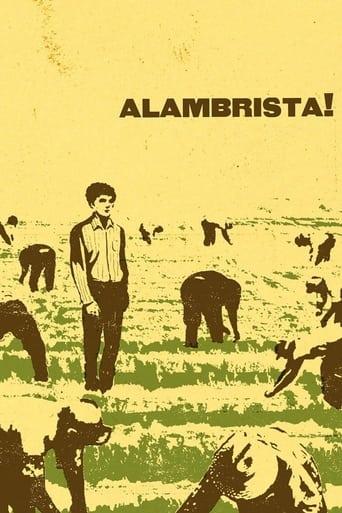 Alambrista!