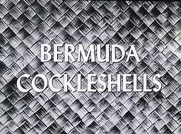 Bermuda Cockleshells