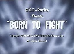 Born to Fight