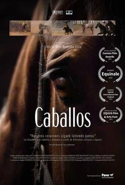 Caballos