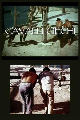 Cavalli ciechi