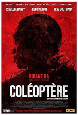 Coléoptère