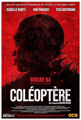 Coléoptère