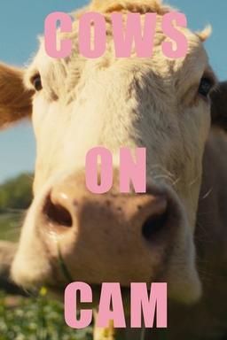 COWS ON CAM