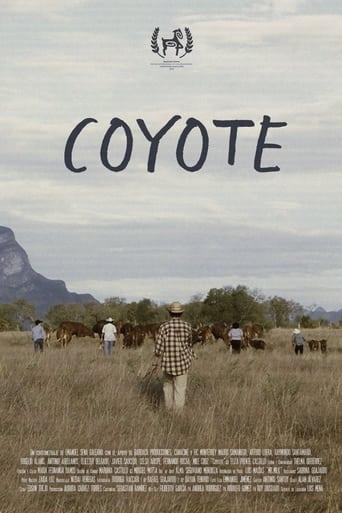 Coyote