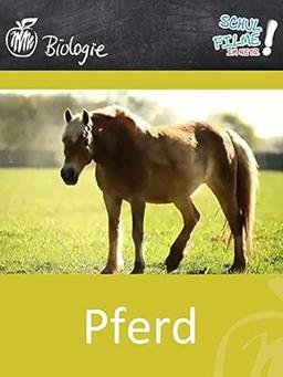 Das Pferd