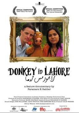 Donkey in Lahore