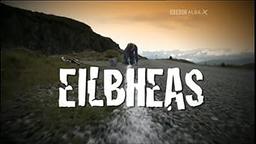 Eilbheas