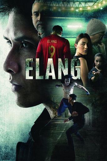 Elang