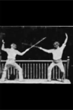 Fencing