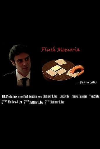 Flush Memoria