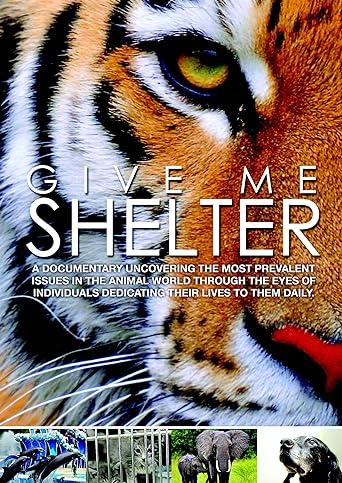 Give Me Shelter