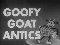 Goofy Goat Antics