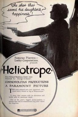 Heliotrope