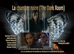 La chambre noire