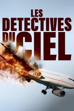 Les Détectives du ciel