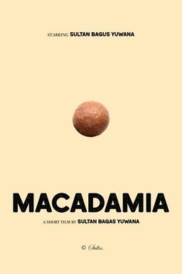 Macadamia
