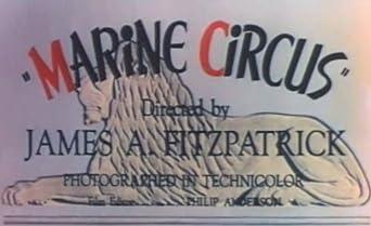 Marine Circus
