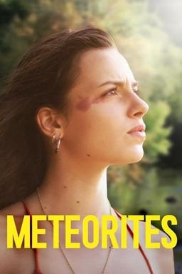 Meteorites