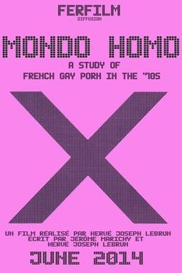 Mondo Homo: A Study of French Gay Porn in the '70s