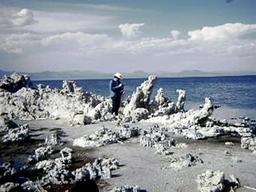 Mono Lake