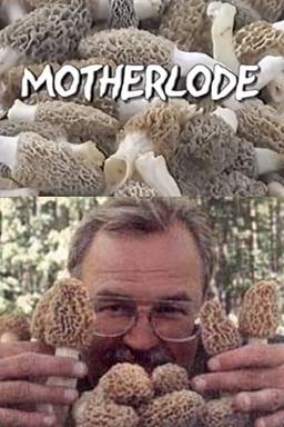 Motherlode