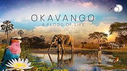 Okavango: A Flood of Life