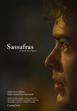 Sassafras