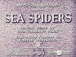 Sea Spiders