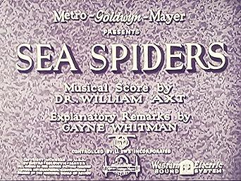 Sea Spiders