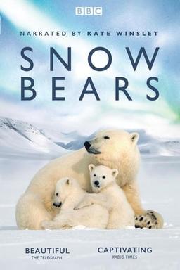 Snow Bears