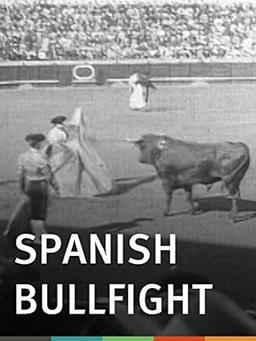 Spanish Bullfight