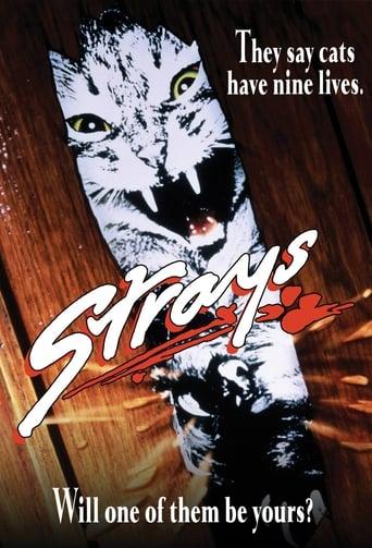 Strays