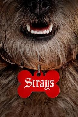 Strays