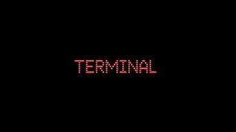 Terminal
