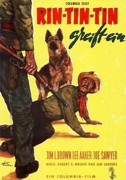 The Challenge of Rin Tin Tin