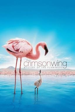 The Crimson Wing: Mystery of the Flamingos