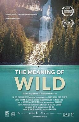 The Meaning of Wild