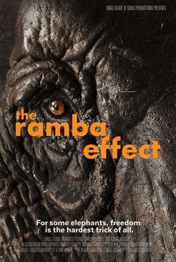 The Ramba Effect