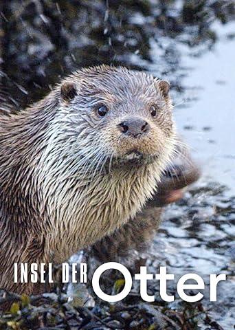 The Shetland Otters