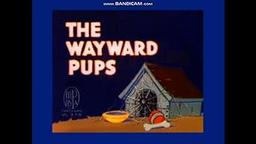 The Wayward Pups