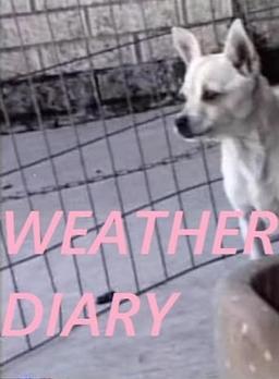 Weather Diary 3