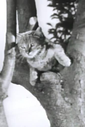 Wing, Claw and Fang!