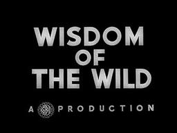 Wisdom of the Wild