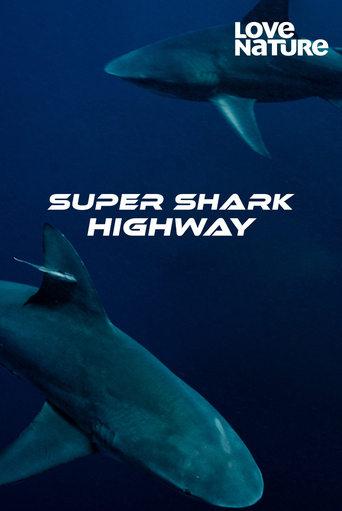 Super Shark Highway