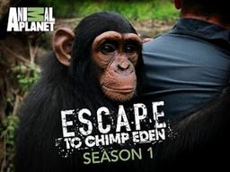 Escape to Chimp Eden