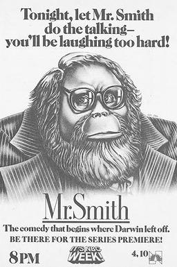 Mr. Smith