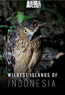 Wildest Islands of Indonesia