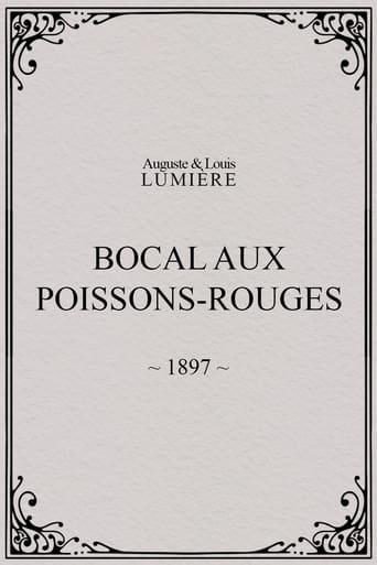 Bocal aux poissons rouges